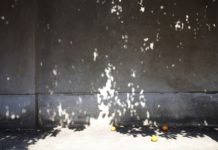 Stille und bewegte Bilder „Art after Work“ im Museum Pfalzgalerie Kaiserslautern