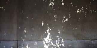 Stille und bewegte Bilder „Art after Work“ im Museum Pfalzgalerie Kaiserslautern