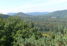 Resolution des Bezirksverbandes Pfalz gegen den Kerosinablass über den Pfälzerwald und der Region Pfalz