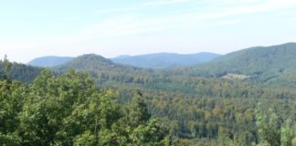 Resolution des Bezirksverbandes Pfalz gegen den Kerosinablass über den Pfälzerwald und der Region Pfalz