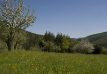 Neues Handlungsprogramm für das Biosphärenreservat