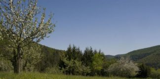 Neues Handlungsprogramm für das Biosphärenreservat