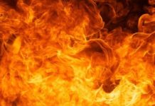 Mutmaßlicher Brandstifter festgenommen