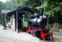Stumpfwaldbahn stellt am Tag des offenen Denkmals neue Dampflok vor