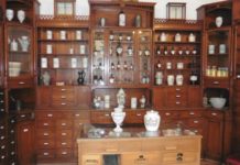 Auf Entdeckungsreise durch Kaiserslautern – KL mit allen Sinnen