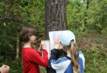 Biosphärenreservat fördert Schulaktionen zum Erhalt der Artenvielfalt