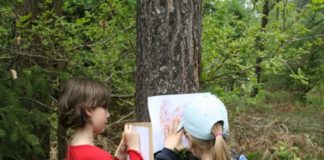 Biosphärenreservat fördert Schulaktionen zum Erhalt der Artenvielfalt