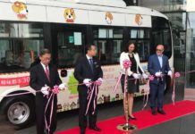 Überwältigende Eindrücke in Japan