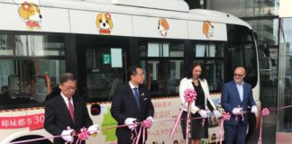 Überwältigende Eindrücke in Japan