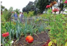 BUND Exkursion in den Fachbereichsgarten der TU Kaiserslautern