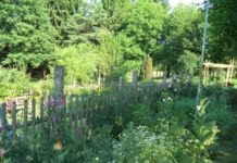 Gewinner im Sinne der Artenvielfalt – Projekt „Gärten für die Artenvielfalt“