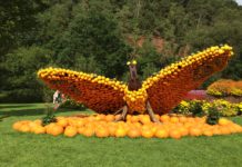Gartenschau Kaiserslautern wieder in einer bunten Kürbispracht