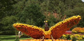 Gartenschau Kaiserslautern wieder in einer bunten Kürbispracht