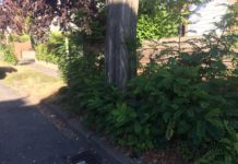 CDU-Fraktion unterstützt Unterschriftenaktion des Vereins für Baukultur und Stadtgestaltung