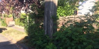 CDU-Fraktion unterstützt Unterschriftenaktion des Vereins für Baukultur und Stadtgestaltung