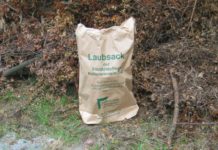 Stadtbildpflege Kaiserslautern informiert zur Entsorgung von Laub