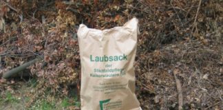 Stadtbildpflege Kaiserslautern informiert zur Entsorgung von Laub