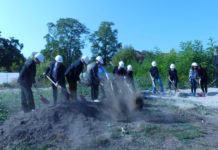Wegweisendes Projekt – Spatenstich für Schulneubau des Pfalzinstituts und Karolinen-Gymnasiums Frankenthal