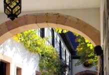 Bei TIM: „Herr Grün, Jimmy und das Geheimnis der Zaubertrolle“