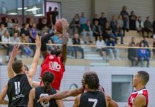 FCK Basketballer unterliegen zu Hause starken Sunkings