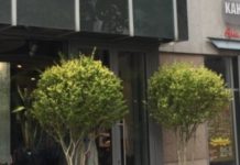 Gemeinsames Erscheinungsbild für die Modemeile