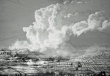 Ausgezeichnete Pfälzer Künstler – „Art after Work“ im Museum Pfalzgalerie Kaiserslautern