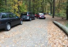 Semesterbeginn führt zu Waldblockade – Parkraumbewirtschaftung würde Missstand beenden