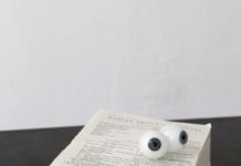 Die Facetten von Buch und Lesen – Ausstellung „Umlese“ in der Pfalzbibliothek Kaiserslautern