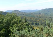 Kerosinablass und Schulneubau – Bezirksausschuss tagt in der Pfalzakademie Lambrecht