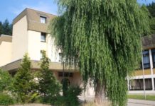 In der Ruhe liegt die Kraft – Seminare im November in der Pfalzakademie Lambrecht