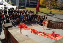 Gut besuchter Poppy Day 2018 am Museum Pfalzgalerie (mpk)