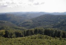 Haushaltsberatungen zum Bezirksverband Pfalz – Bezirksausschuss tagt in Kaiserslautern