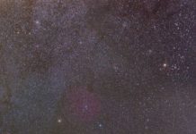 Warum die Dunkelheit uns guttut – Infoabend rund um Sterne über dem Pfälzerwald im Biosphärenhaus