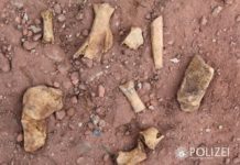 Baggerarbeiten rufen Polizei auf den Plan