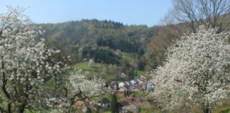 Für einen besseren Biotopverbund und mehr Licht