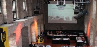 Konsequente Haushaltsdisziplin sorgt für gute Aufstellung Bezirkstag Pfalz verabschiedet – Haushalt für das Jahr 2019