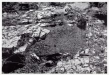 Das Ornament bei Hennevogl – Kurze Kunstpause in der Ausstellung im mpk