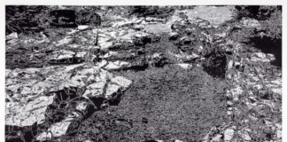 Das Ornament bei Hennevogl – Kurze Kunstpause in der Ausstellung im mpk