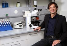 Studie zu Mikroben-DNA: Künstliche Intelligenz hilft, die Umwelt zu überwachen