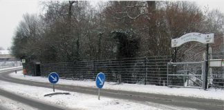 Bei Unfallflucht Kennzeichen vergessen