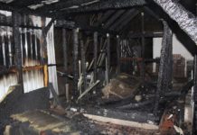 Brand eines Gartenhauses