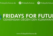 Weil wir keine Zeit mehr haben – Fridays for Future Kaiserslautern