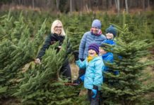 Freiwilliges Ökologisches Jahr im Herzen des Pfälzerwaldes