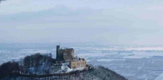 Die „Große Transformation“ mitgestalten