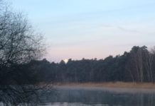 Seniorenbeirat lädt zum Spaziergang