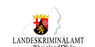 Mehrere Schulen in Rheinland-Pfalz von Cyberangriff betroffen