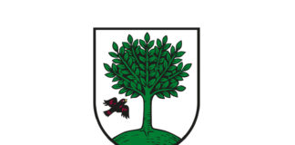 Einladung zum Neujahrsempfang des Ortsvorstehers in Dansenberg