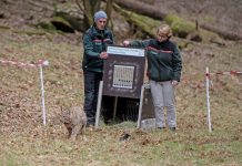 Luchs Nummer 15: Gaupa