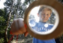 Junge Entdecker im Pfälzerwald – Junior Ranger-Camps in den Sommer- und Herbstferien