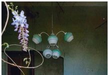 Kollegenlesung zur Finissage: „Umlese“ in der Pfalzbibliothek Kaiserslautern wird verlängert